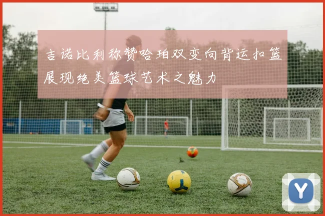 吉诺比利称赞哈珀双变向背运扣篮展现绝美篮球艺术之魅力